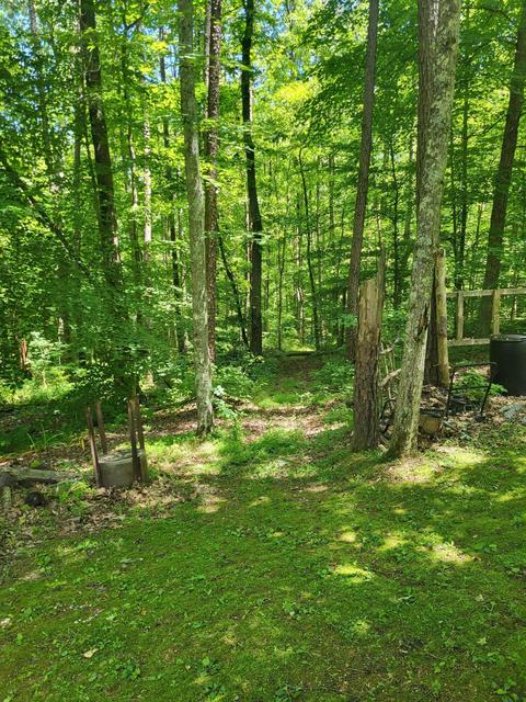 35598 Fairview Rd, Ray, OH 45672 photo 14
