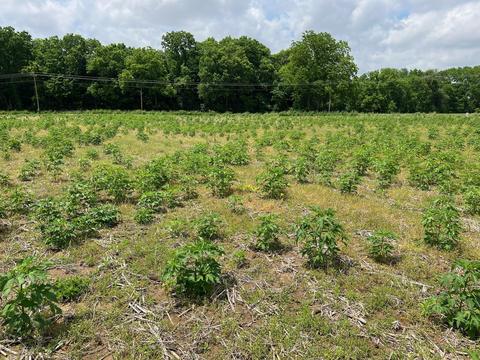 0 Lawrence Road Tract 2, Delaware, OH 43015