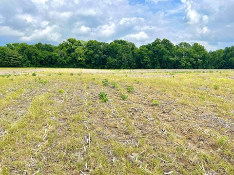 0 Lawrence Road Tract 3, Delaware, OH 43015