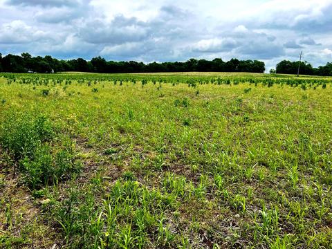 0 Lawrence Road Tract 4, Delaware, OH 43015