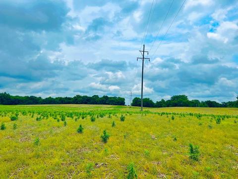 0 Lawrence Road Tract 5, Delaware, OH 43015