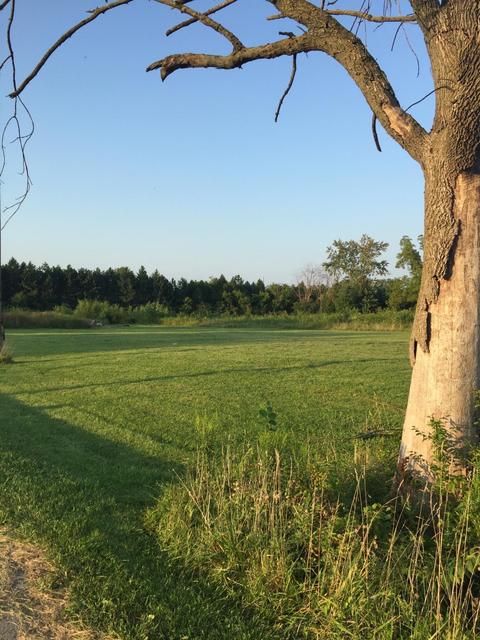2390 Hoover Rd, Grove City, OH 43123