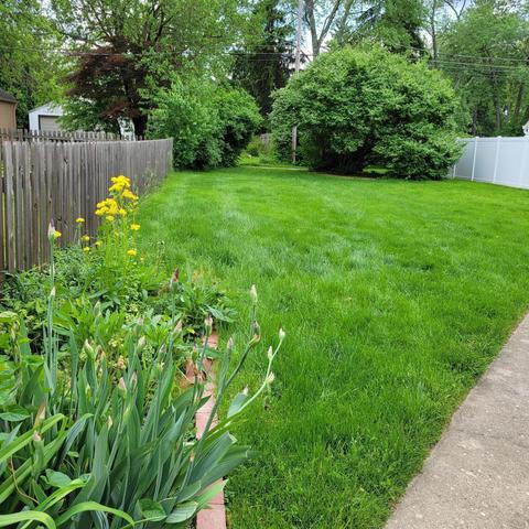 517 E Beechwold Blvd, Columbus, OH 43214 photo 26