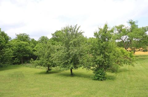 4560 Bowers Rd, Cable, OH 43009 photo 47