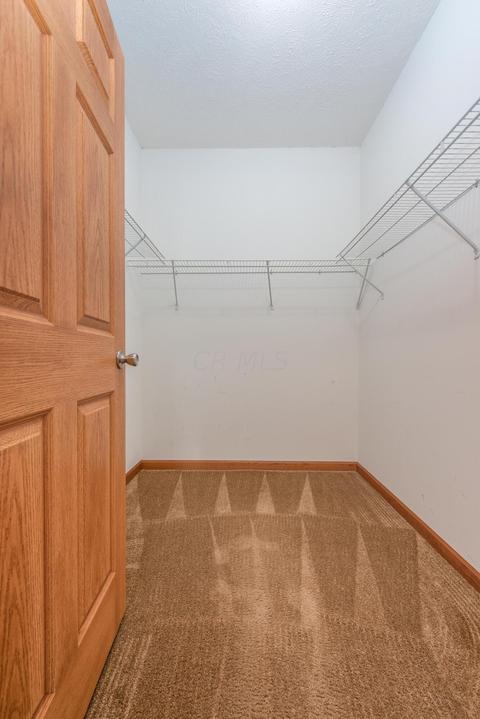 1933 N Branch Rd, Dresden, OH 43821 photo 18