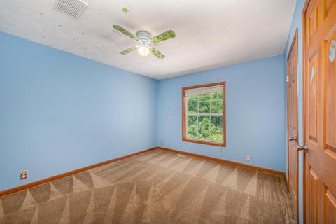 1933 N Branch Rd, Dresden, OH 43821 photo 27