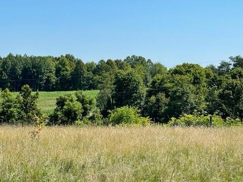 9643 Walnut Dowler Rd, Logan, OH 43138 photo 65