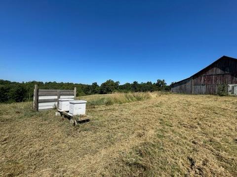 9643 Walnut Dowler Rd, Logan, OH 43138 photo 66