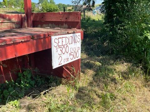 9643 Walnut Dowler Rd, Logan, OH 43138 photo 70