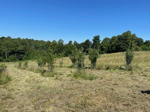 9643 Walnut Dowler Rd, Logan, OH 43138 photo 61