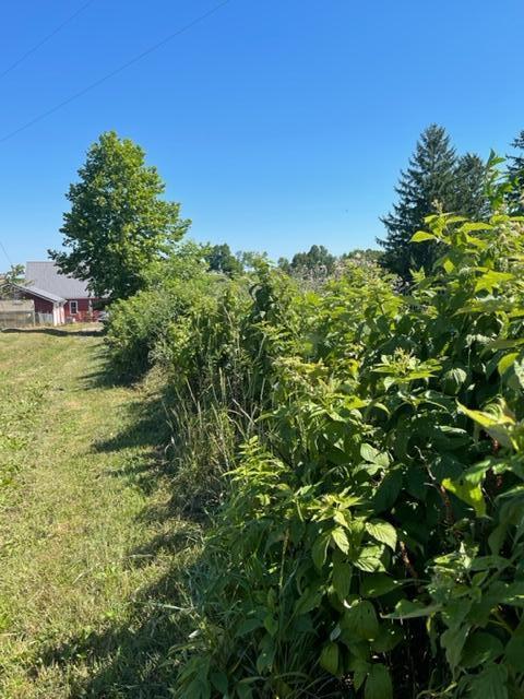 9643 Walnut Dowler Rd, Logan, OH 43138 photo 63