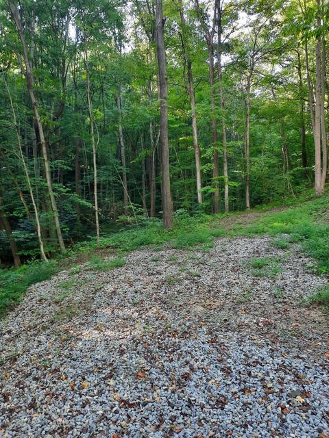 0 Auerville Rd, Bainbridge, OH 44023