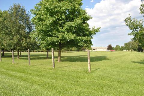 9466 Mccord Rd, Orient, OH 43146 photo 8