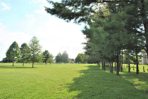 9466 Mccord Rd, Orient, OH 43146 photo 14