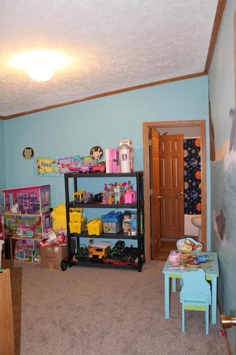 7015 Bradner Rd, Risingsun, OH 43457 photo 21