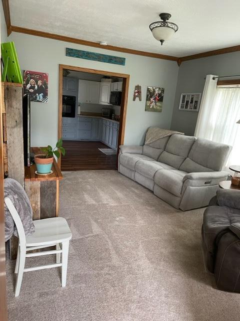 120 Seyfert Ave, Circleville, OH 43113 photo 9