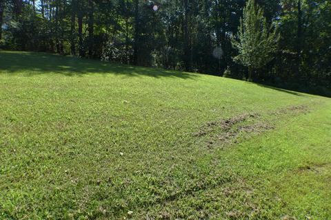 38046 Scout Rd, Logan, OH 43138 photo 10