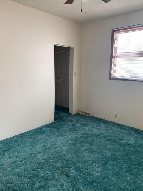 165 Corning Ave, Corning, OH 43730 photo 12