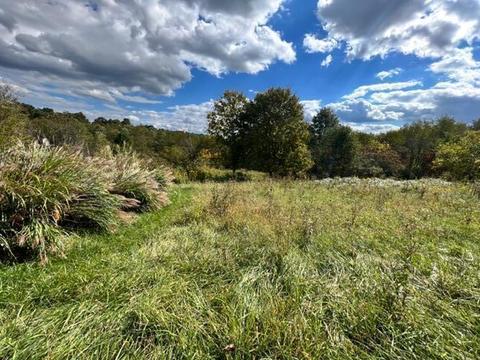 536 Standpipe Rd, Jackson, OH 45640 photo 3