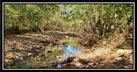 0 Skidmore Hollow Road Apt Rd #(TRACT 5), Lucasville, OH 45648