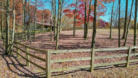 6322 Hunterdon Rd, Glouster, OH 45732 photo 6