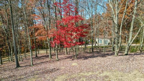 6322 Hunterdon Rd, Glouster, OH 45732 photo 15