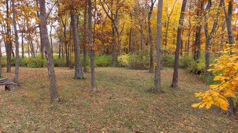 11268 Dingess Rd, Circleville, OH 43113 photo 78