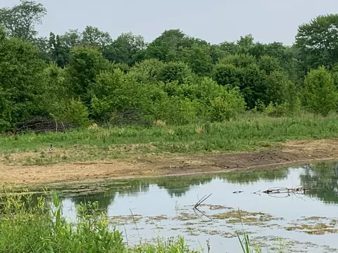 7010 River Rd, Prospect, OH 43342 photo 1