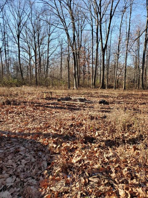 4440 Deer Creek Ln, London, OH 43140