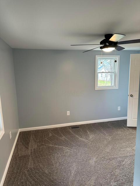429 Faye Ave, Circleville, OH 43113 photo 13