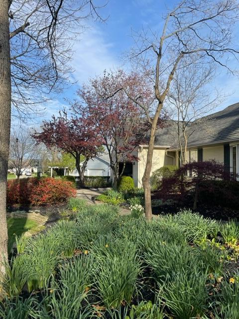 583 Hickory Pl, Circleville, OH 43113 photo 67