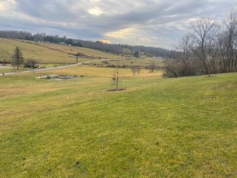 10135 N Morrison Rd, Dresden, OH 43821 photo 5