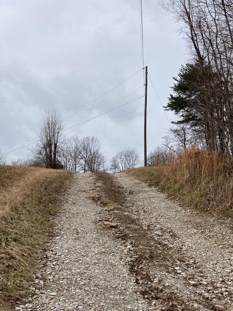 9246 Walnut Dowler Rd, Logan, OH 43138 photo 6