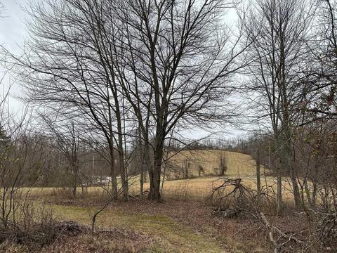 9246 Walnut Dowler Rd, Logan, OH 43138 photo 1