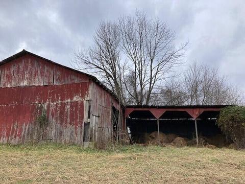 9246 Walnut Dowler Rd, Logan, OH 43138 photo 9