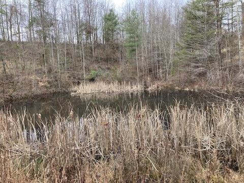 9246 Walnut Dowler Rd, Logan, OH 43138 photo 16