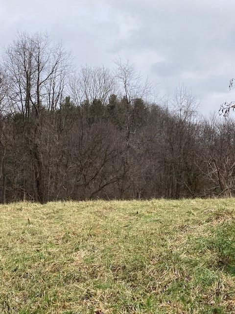 9246 Walnut Dowler Rd, Logan, OH 43138 photo 13