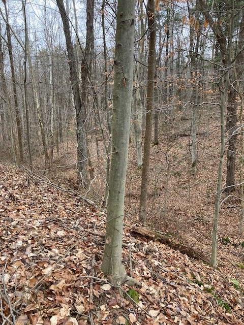 9246 Walnut Dowler Rd, Logan, OH 43138 photo 17