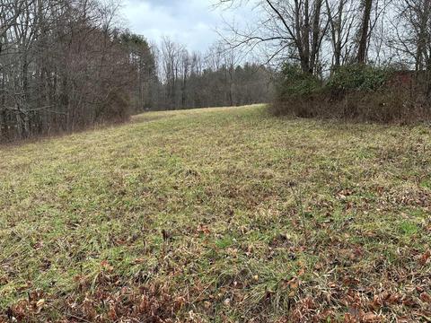 9246 Walnut Dowler Rd, Logan, OH 43138 photo 11