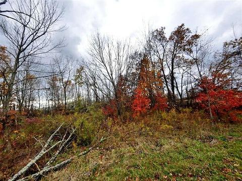 205 West, Pataskala, OH 43062