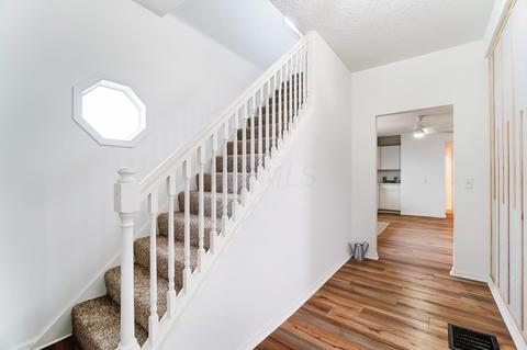 230 N Belmont Ave, Springfield, OH 45503 photo 8