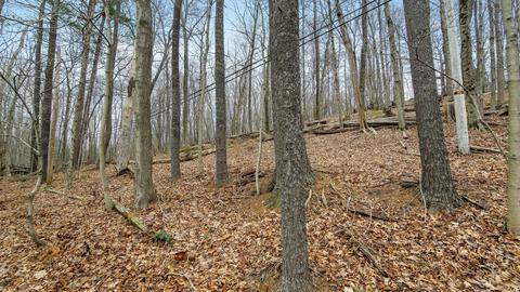0 Welsh Hills Rd NW #LOT 3, Granville, OH 43023