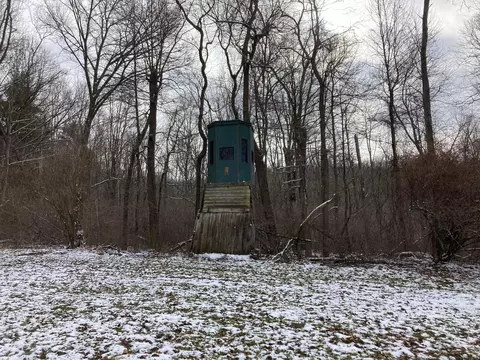 17794 Township Road 278, Coshocton, OH 43812 photo 27