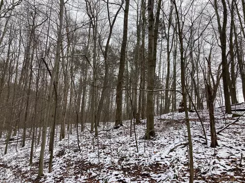 17794 Township Road 278, Coshocton, OH 43812 photo 10
