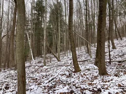 17794 Township Road 278, Coshocton, OH 43812 photo 30