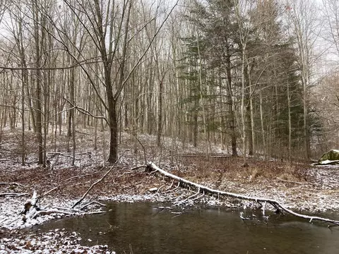 17794 Township Road 278, Coshocton, OH 43812 photo 36