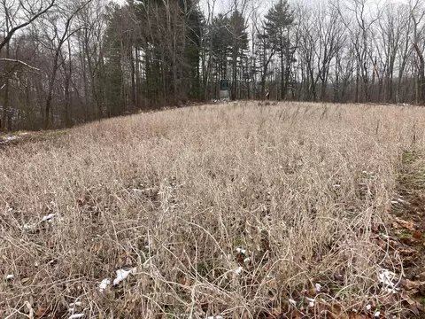 17794 Township Road 278, Coshocton, OH 43812 photo 22