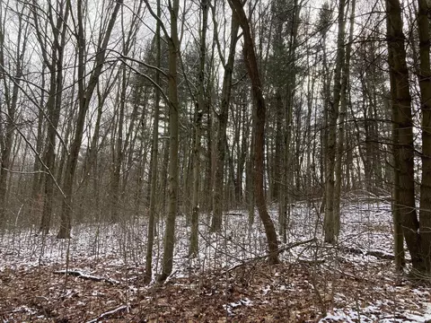17794 Township Road 278, Coshocton, OH 43812 photo 37