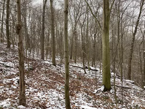 17794 Township Road 278, Coshocton, OH 43812 photo 9