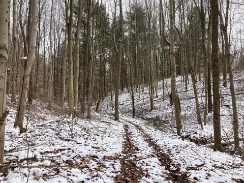 17794 Township Road 278, Coshocton, OH 43812 photo 31